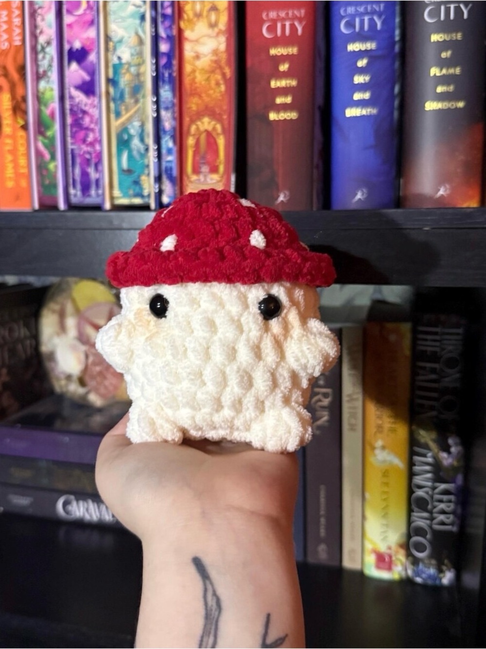 Crochet Mushroom Plushie